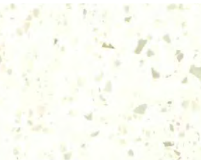 Birch